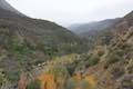 Santa Paula Creek View