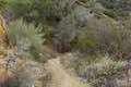 Santa Paula Canyon Trail