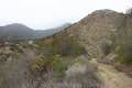 Santa Paula Canyon Trail