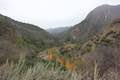 Santa Paula Canyon View