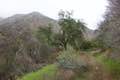 Santa Paula Canyon Trail