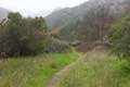 Santa Paula Canyon Trail