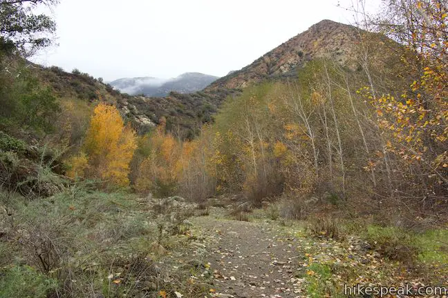 Santa Paula Canyon East Fork Trail