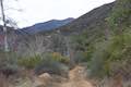 Sisar Canyon Trail Topatopa Ridge
