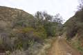 Sisar Canyon Road Trail