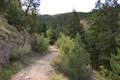 Rattlesnake Gulch Trail