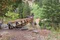 Rattlenake Gulch Trail Bridge