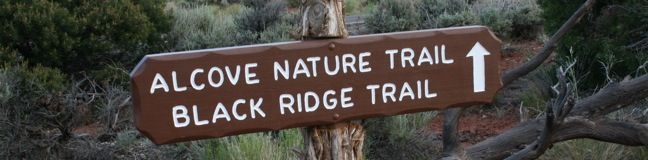 Alcove Nature Trail in Colorado National Monument near Grand Junction Colorado