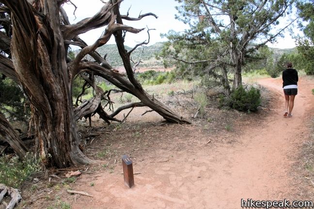 Alcove Nature Trail