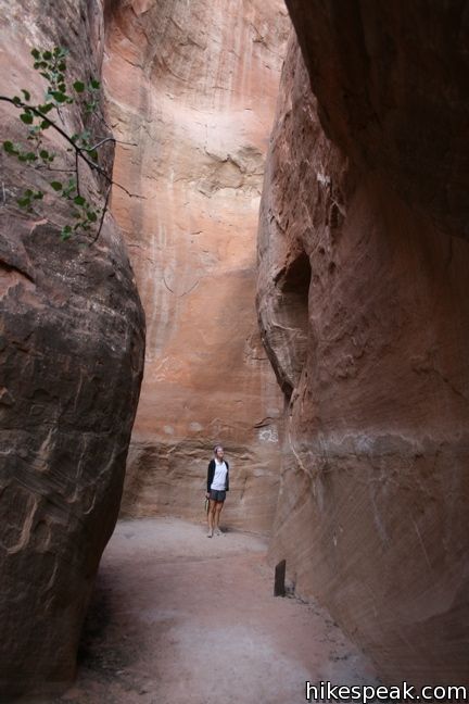 Alcove Nature Trail