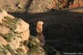 Balanced Rock Colorado