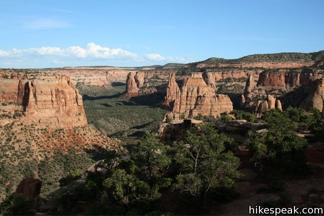 Canyon Rim Trail