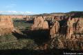 Canyon Rim Trail