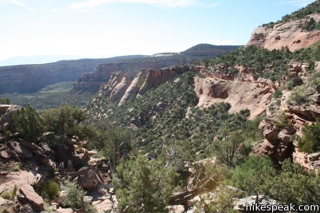 Coke Ovens