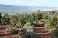 Otto's Trail Overlook