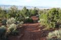 Otto's Trail Overlook