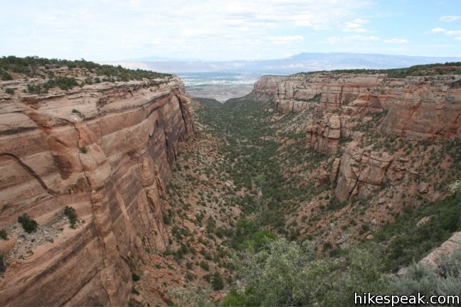 Red Canyon Overlook