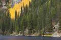 Bear Lake Aspen Trees