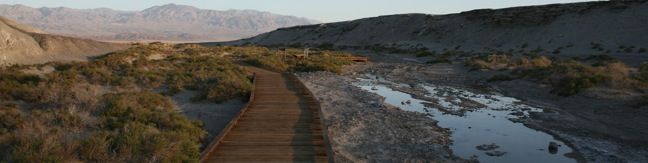 Salt Creek Trail Death Valley National Park hike Salt Creek Interpretive Trail California