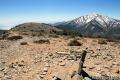 Wildrose Peak Mojave