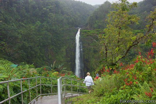 Akaka Falls State Park Waterfall Hike