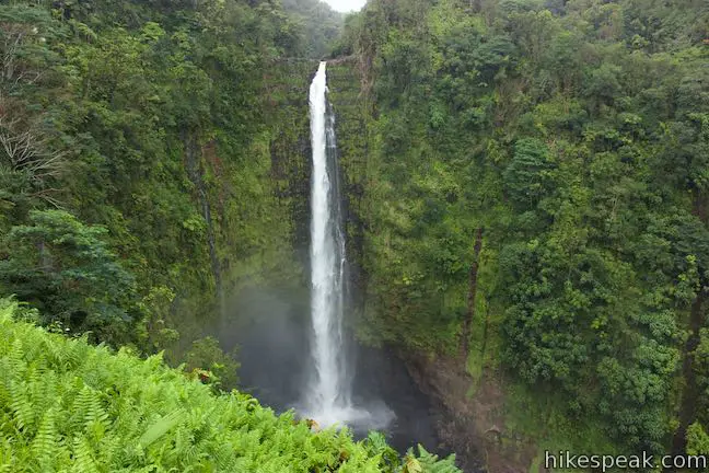 Akaka Falls Hawaii