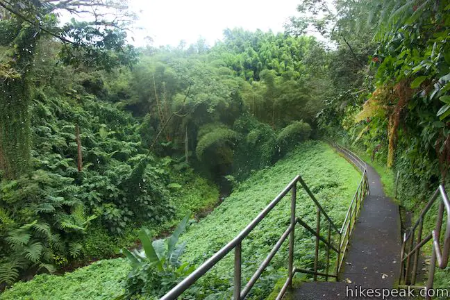 Akaka Falls State Park Kahuna Falls