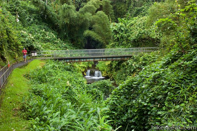 Akaka Falls Loop Trail Bridge