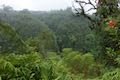 Kahuna Falls Lookout