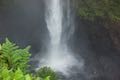 Akaka Falls Plunge Pool