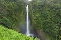 Akaka Falls Hawaii