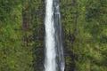 Akaka Falls Hawaii