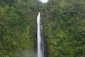 Akaka Falls