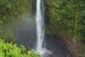 Akaka Falls Hawaii