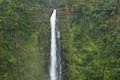 Akaka Falls Waterfall