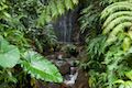 Akaka Falls State Park Cascade