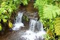 Akaka Falls State Park Cascade