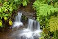 Akaka Falls State Park Cascade