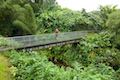 Akaka Falls State Park Bridge