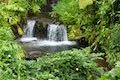 Akaka Falls State Park Bridge