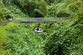 Akaka Falls State Park Bridge