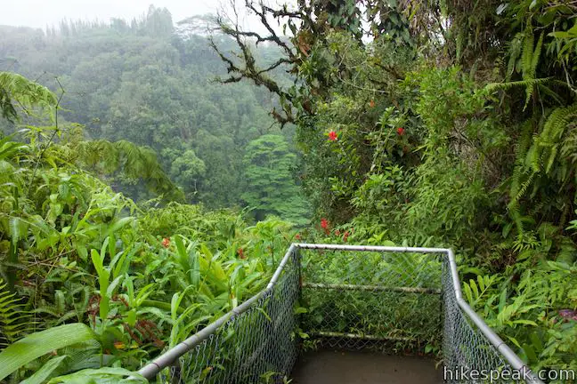 Akaka Falls State Park Kahuna Falls