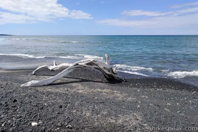 Kiholo Bay Driftwood