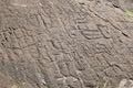 Puako Petroglyph Field