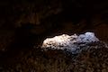 Kalahuipua'a Trail Lava Tube Cave