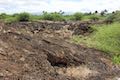 Kalahuipua'a Trail Lava Field