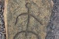 Malama Trail Puako Petroglyph Replica