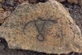 Puako Petroglyph Replica