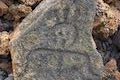 Malama Trail Puako Petroglyphs