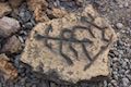 Malama Trail Puako Petroglyph Replica